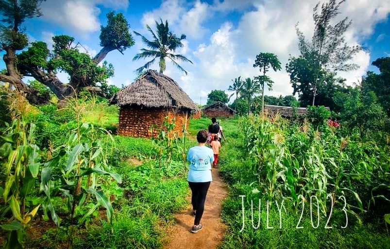 Workforce and job preparation